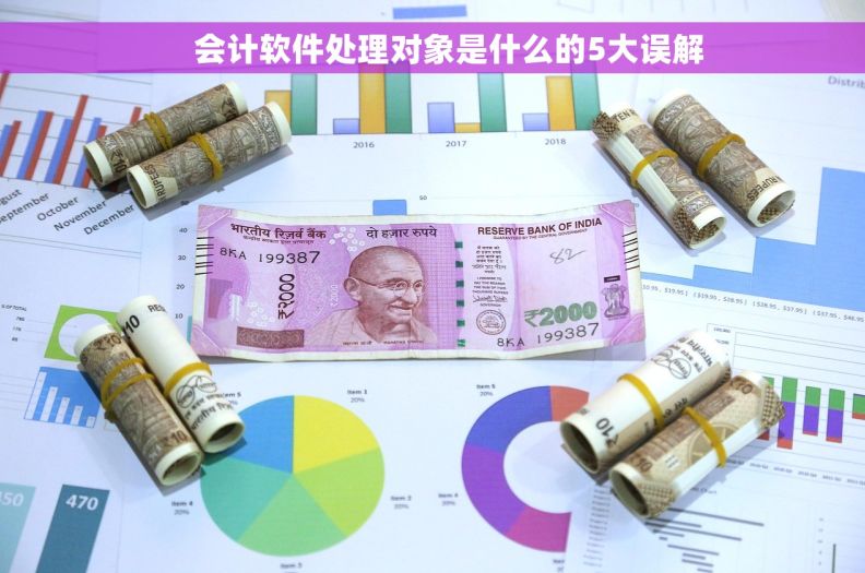     会计软件处理对象是什么的5大误解
