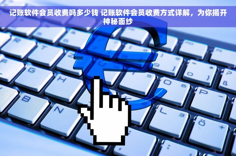 记账软件会员收费吗多少钱 记账软件会员收费方式详解，为你揭开神秘面纱