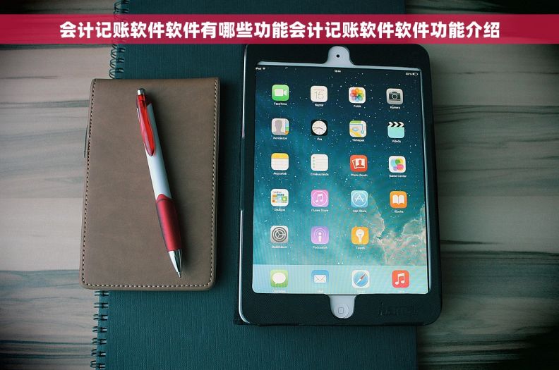 会计记账软件软件有哪些功能会计记账软件软件功能介绍