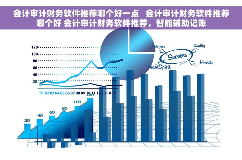 会计审计财务软件推荐哪个好一点   会计审计财务软件推荐哪个好 会计审计财务软件推荐，智能辅助记账