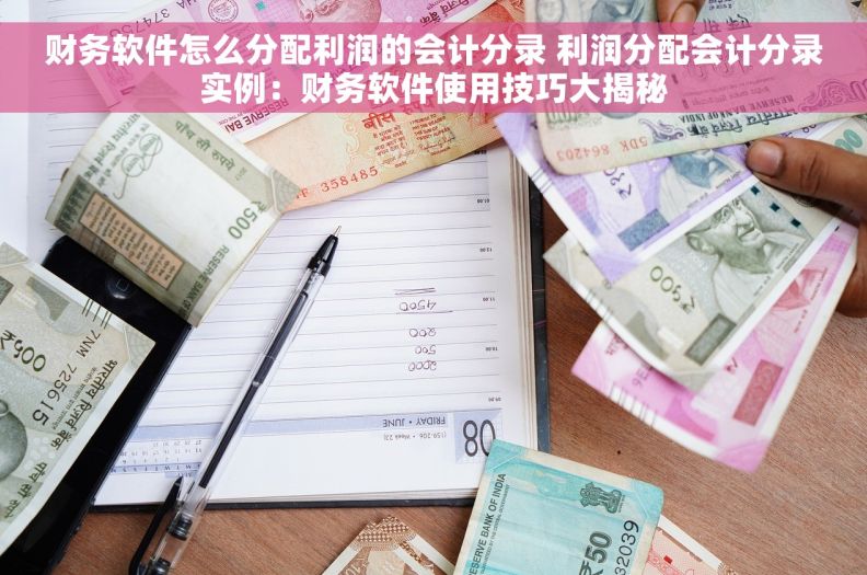 财务软件怎么分配利润的会计分录 利润分配会计分录实例：财务软件使用技巧大揭秘