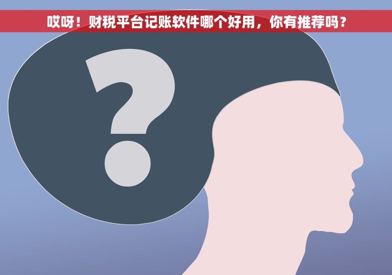 哎呀！财税平台记账软件哪个好用，你有推荐吗？