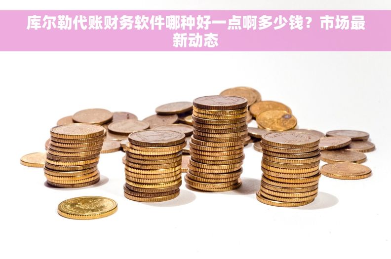 库尔勒代账财务软件哪种好一点啊多少钱？市场最新动态