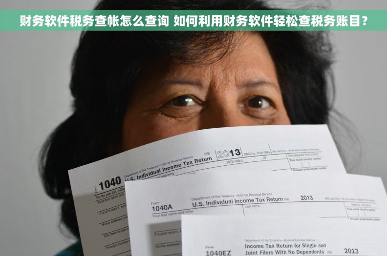 财务软件税务查帐怎么查询 如何利用财务软件轻松查税务账目？