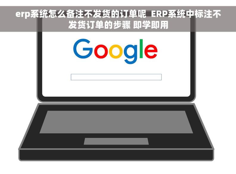 erp系统怎么备注不发货的订单呢  ERP系统中标注不发货订单的步骤 即学即用