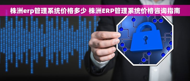株洲erp管理系统价格多少 株洲ERP管理系统价格咨询指南