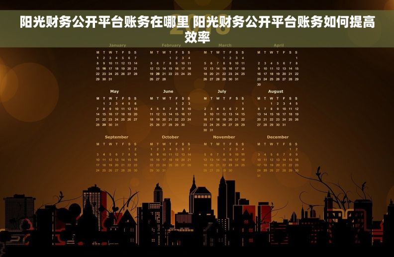 阳光财务公开平台账务在哪里 阳光财务公开平台账务如何提高效率