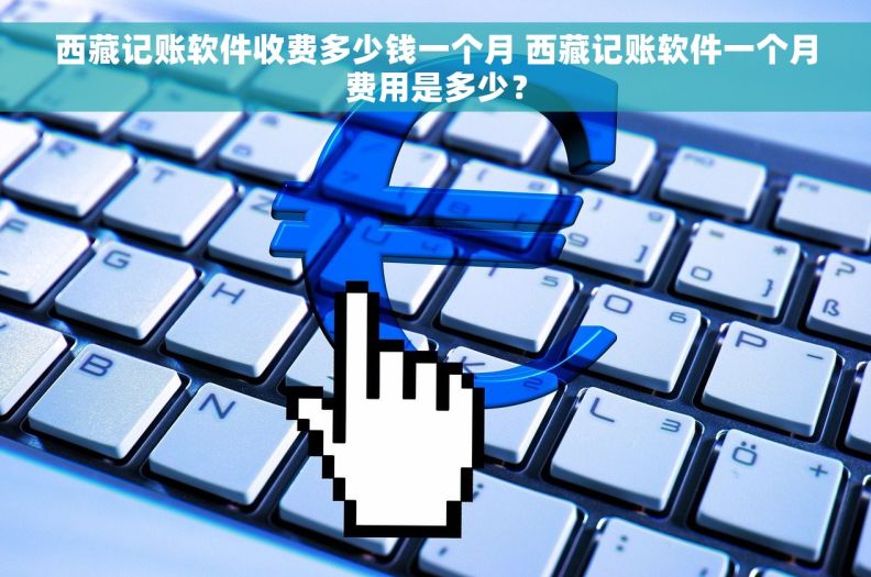 西藏记账软件收费多少钱一个月 西藏记账软件一个月费用是多少？