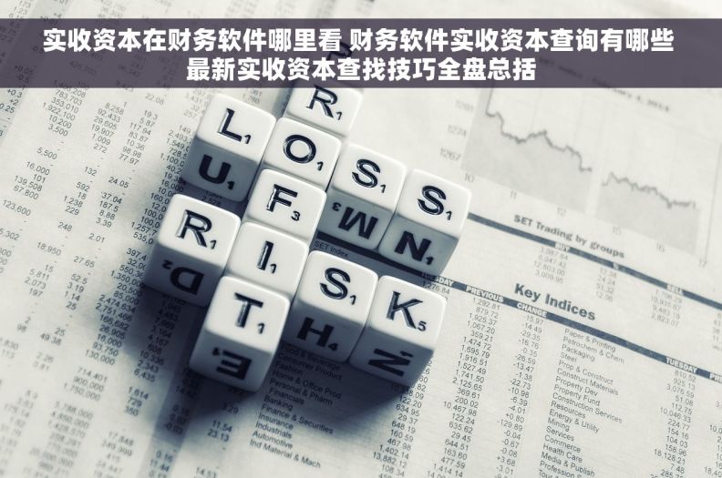 实收资本在财务软件哪里看 财务软件实收资本查询有哪些 最新实收资本查找技巧全盘总括