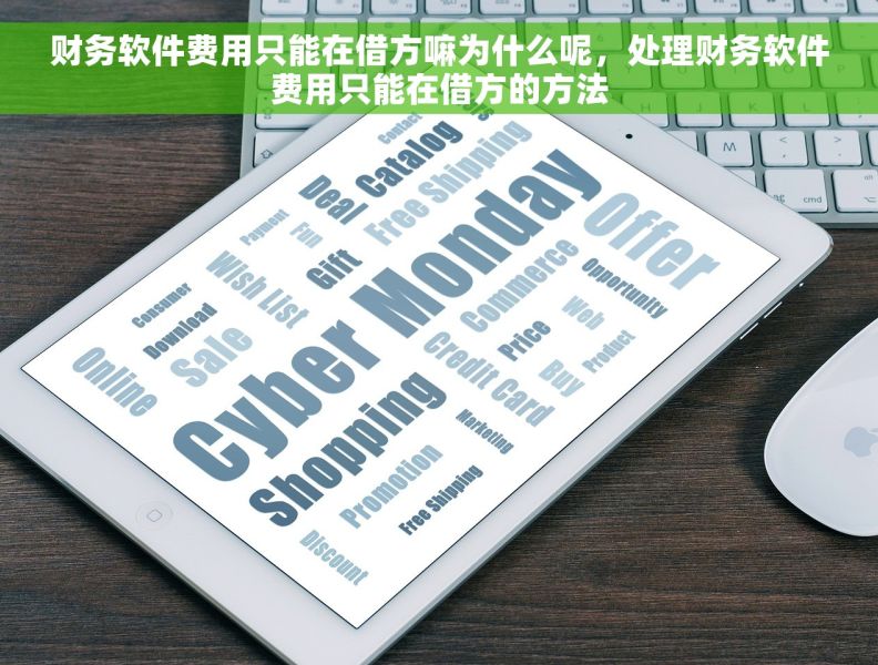 财务软件费用只能在借方嘛为什么呢，处理财务软件费用只能在借方的方法