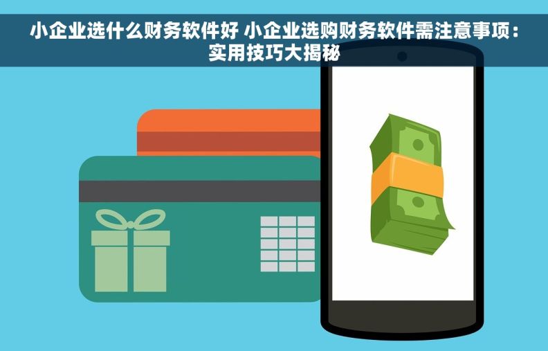 小企业选什么财务软件好 小企业选购财务软件需注意事项：实用技巧大揭秘