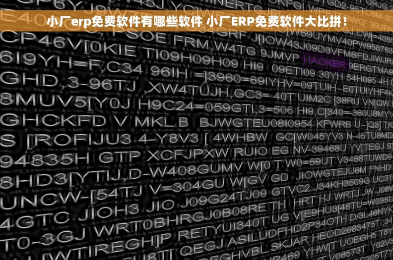 小厂erp免费软件有哪些软件 小厂ERP免费软件大比拼！