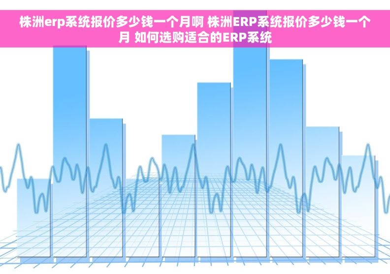 株洲erp系统报价多少钱一个月啊 株洲ERP系统报价多少钱一个月 如何选购适合的ERP系统
