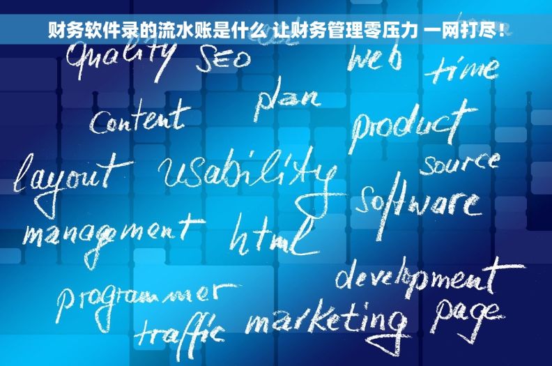 财务软件录的流水账是什么 让财务管理零压力 一网打尽！