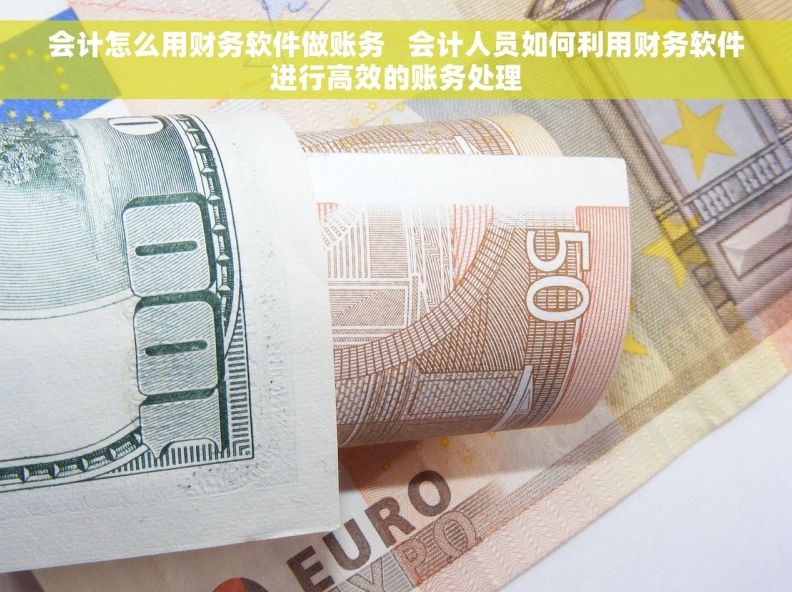 会计怎么用财务软件做账务   会计人员如何利用财务软件进行高效的账务处理