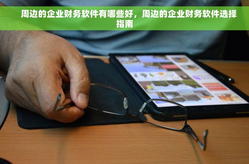     周边的企业财务软件有哪些好，周边的企业财务软件选择指南