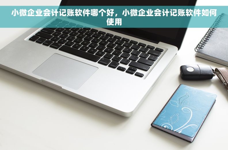 小微企业会计记账软件哪个好，小微企业会计记账软件如何使用