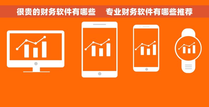 很贵的财务软件有哪些     专业财务软件有哪些推荐