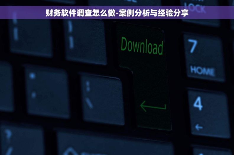 财务软件调查怎么做-案例分析与经验分享