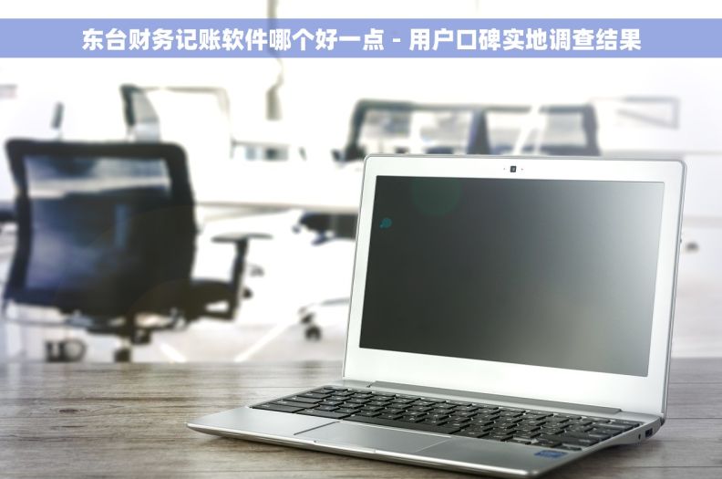 东台财务记账软件哪个好一点 - 用户口碑实地调查结果