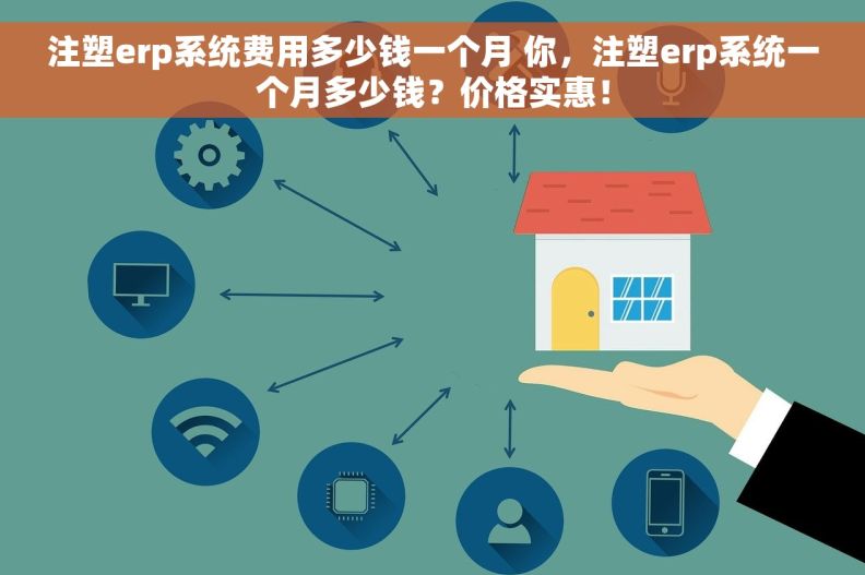 注塑erp系统费用多少钱一个月 你，注塑erp系统一个月多少钱？价格实惠！