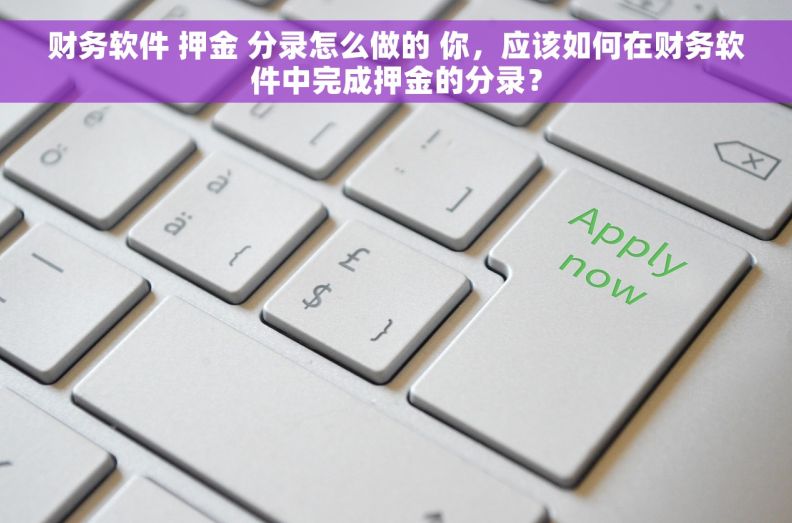 财务软件 押金 分录怎么做的 你，应该如何在财务软件中完成押金的分录？