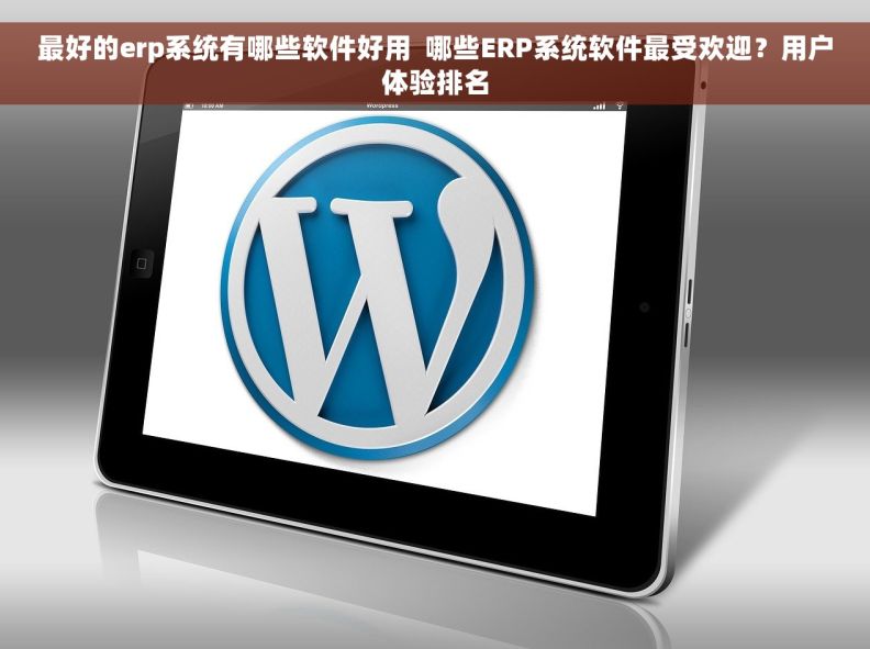 最好的erp系统有哪些软件好用  哪些ERP系统软件最受欢迎？用户体验排名