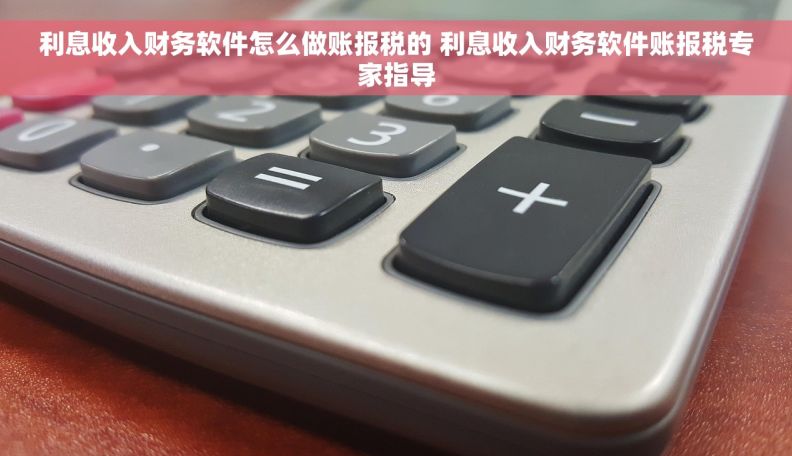 利息收入财务软件怎么做账报税的 利息收入财务软件账报税专家指导
