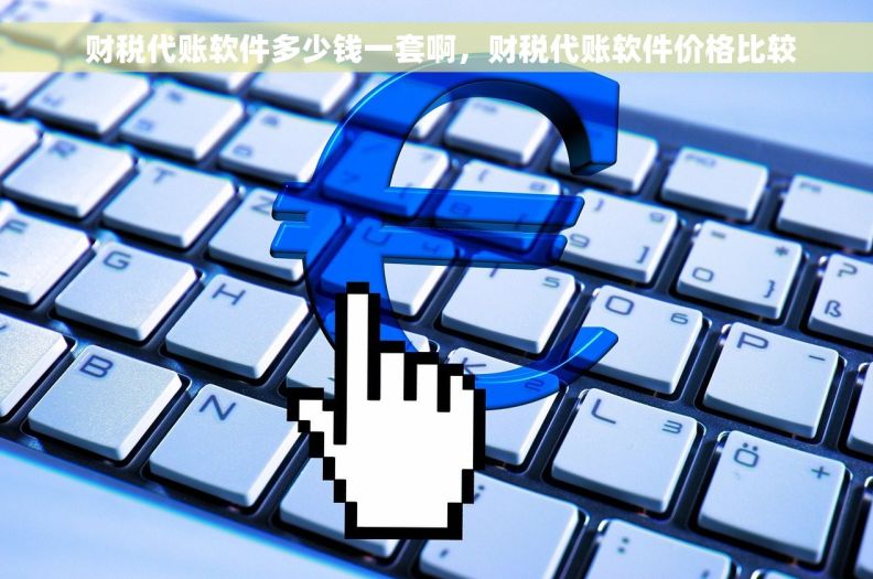  财税代账软件多少钱一套啊，财税代账软件价格比较