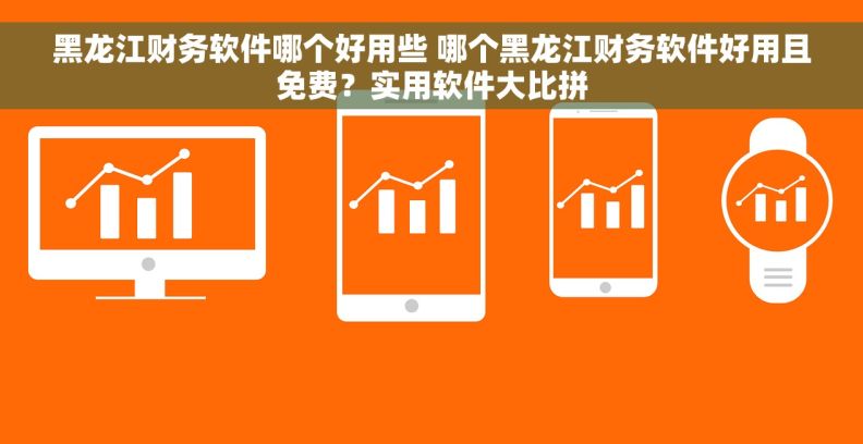 黑龙江财务软件哪个好用些 哪个黑龙江财务软件好用且免费？实用软件大比拼