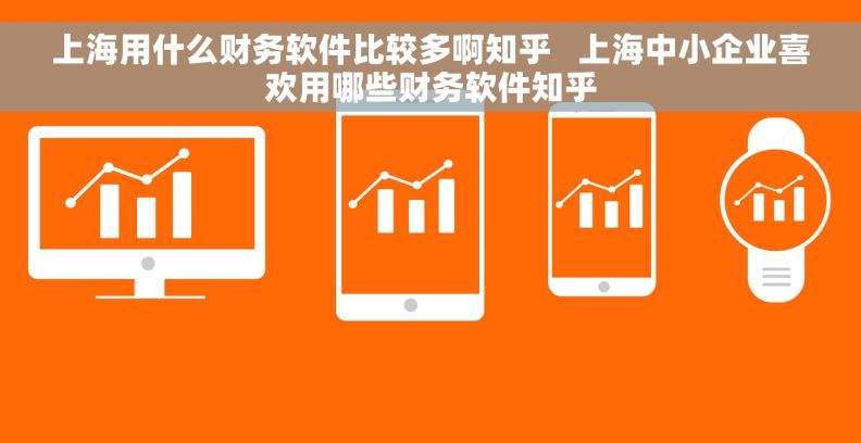 上海用什么财务软件比较多啊知乎   上海中小企业喜欢用哪些财务软件知乎