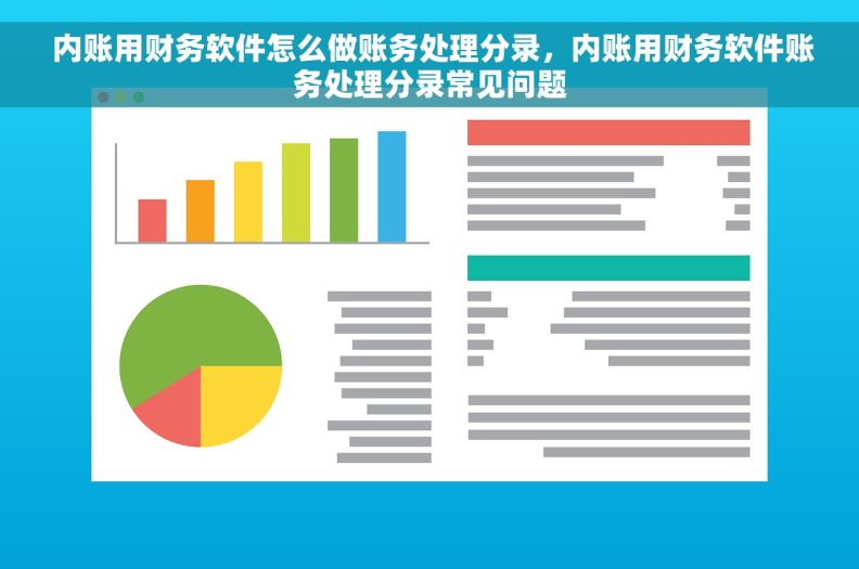  内账用财务软件怎么做账务处理分录，内账用财务软件账务处理分录常见问题
