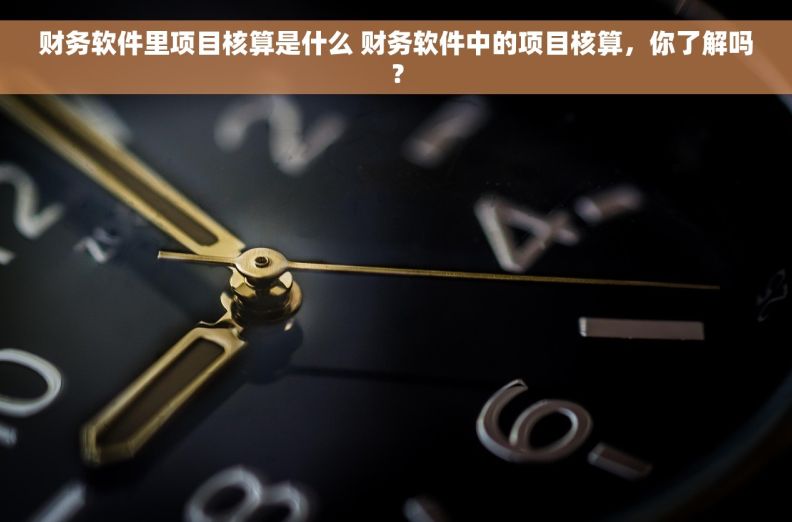 财务软件里项目核算是什么 财务软件中的项目核算，你了解吗？
