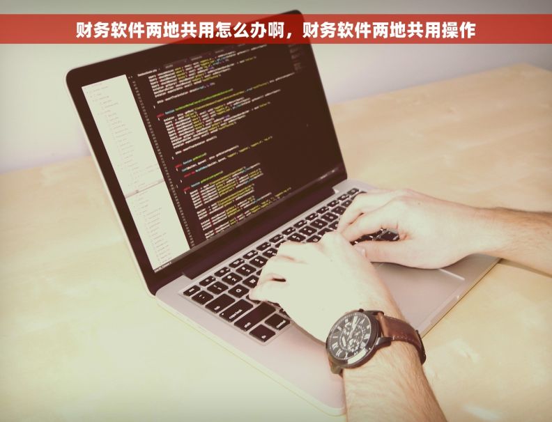 财务软件两地共用怎么办啊，财务软件两地共用操作
