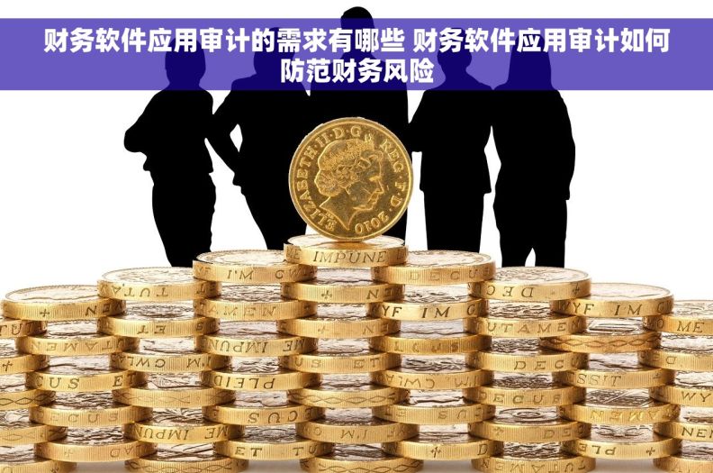 财务软件应用审计的需求有哪些 财务软件应用审计如何防范财务风险