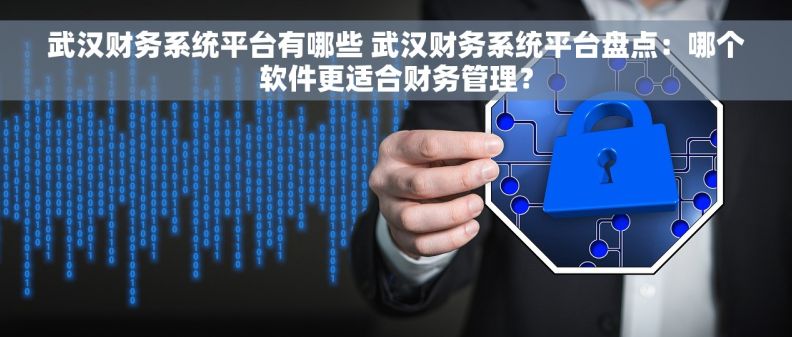武汉财务系统平台有哪些 武汉财务系统平台盘点：哪个软件更适合财务管理？