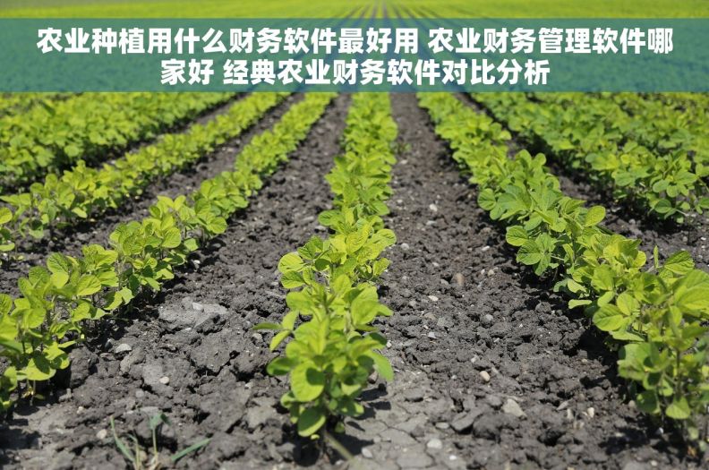 农业种植用什么财务软件最好用 农业财务管理软件哪家好 经典农业财务软件对比分析