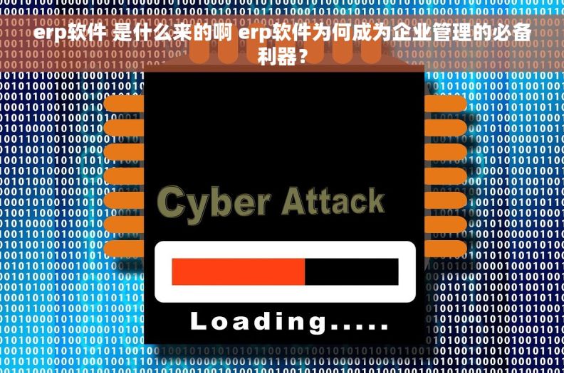 erp软件 是什么来的啊 erp软件为何成为企业管理的必备利器？