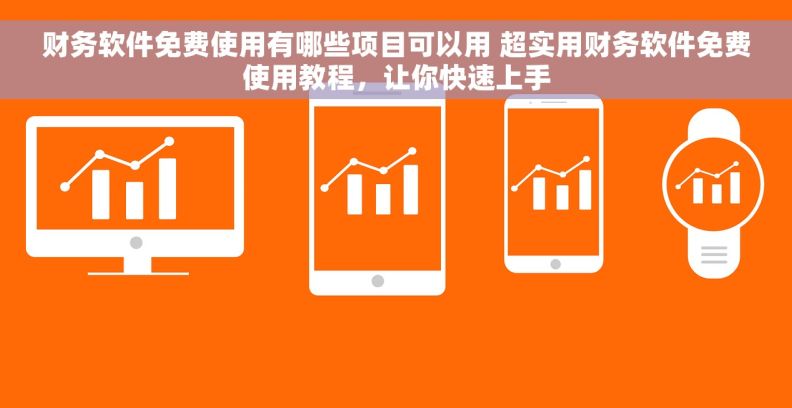 财务软件免费使用有哪些项目可以用 超实用财务软件免费使用教程，让你快速上手