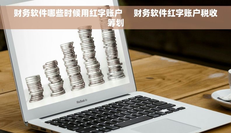 财务软件哪些时候用红字账户     财务软件红字账户税收筹划