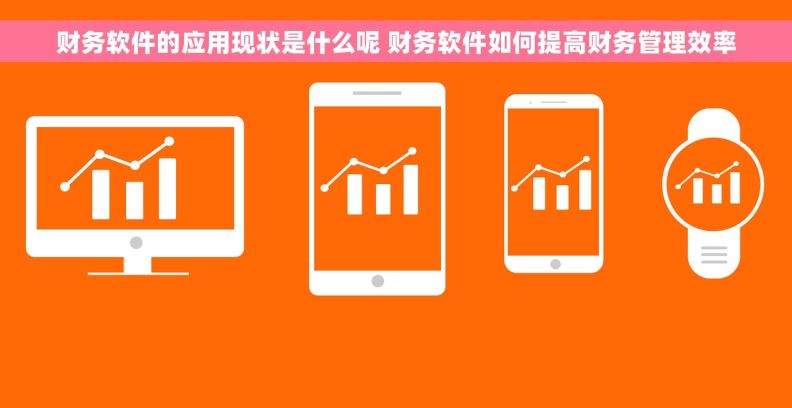 财务软件的应用现状是什么呢 财务软件如何提高财务管理效率