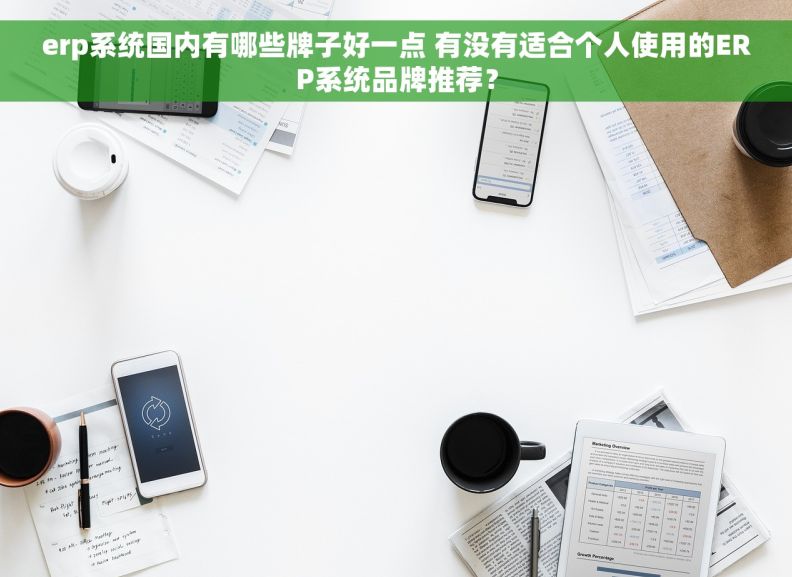 erp系统国内有哪些牌子好一点 有没有适合个人使用的ERP系统品牌推荐？