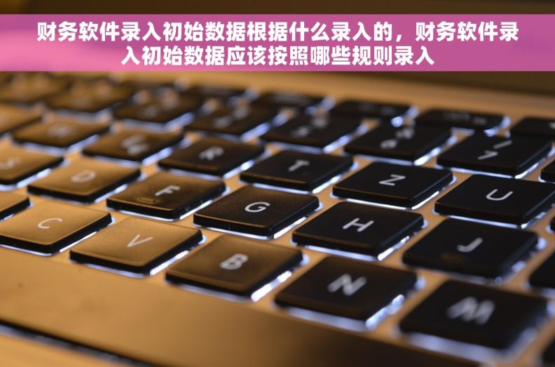 财务软件录入初始数据根据什么录入的，财务软件录入初始数据应该按照哪些规则录入