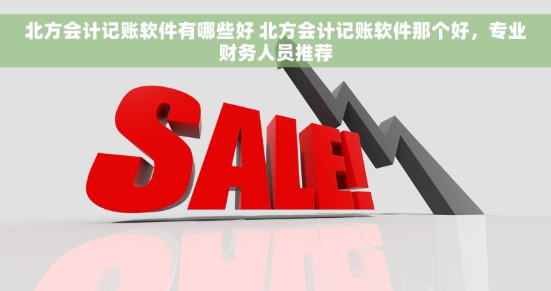 北方会计记账软件有哪些好 北方会计记账软件那个好，专业财务人员推荐