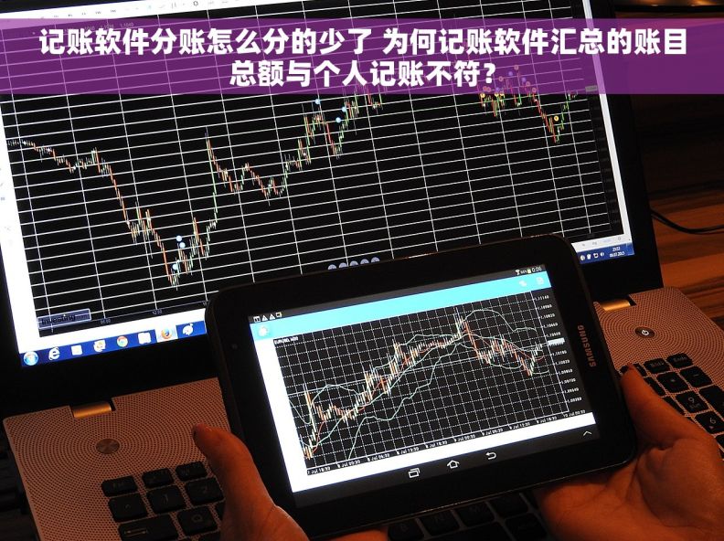 记账软件分账怎么分的少了 为何记账软件汇总的账目总额与个人记账不符？