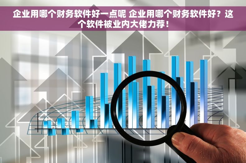 企业用哪个财务软件好一点呢 企业用哪个财务软件好？这个软件被业内大佬力荐！