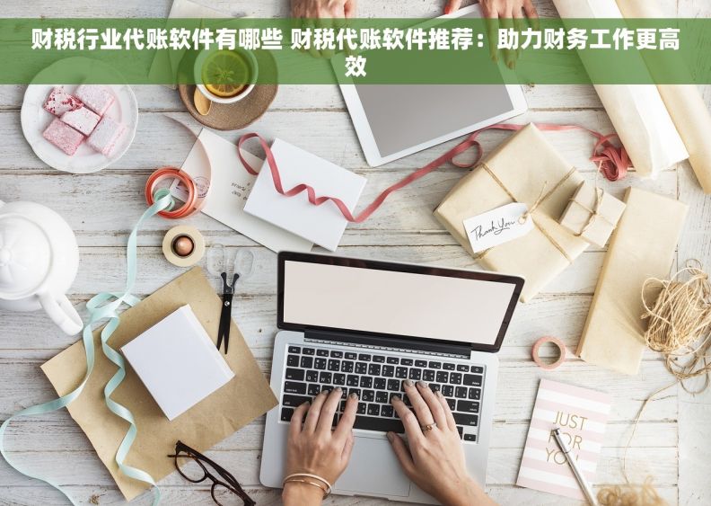 财税行业代账软件有哪些 财税代账软件推荐：助力财务工作更高效