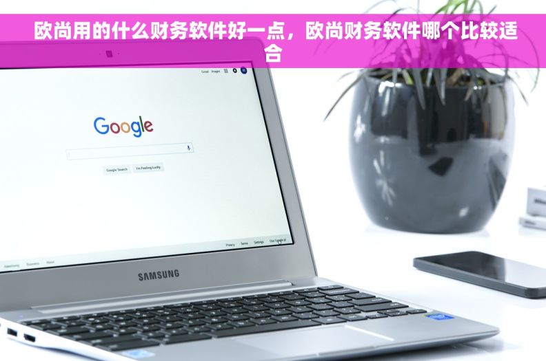  欧尚用的什么财务软件好一点，欧尚财务软件哪个比较适合