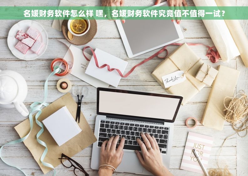 名媛财务软件怎么样 嘿，名媛财务软件究竟值不值得一试？