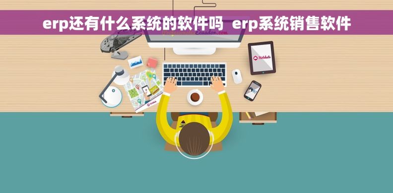 erp还有什么系统的软件吗  erp系统销售软件
